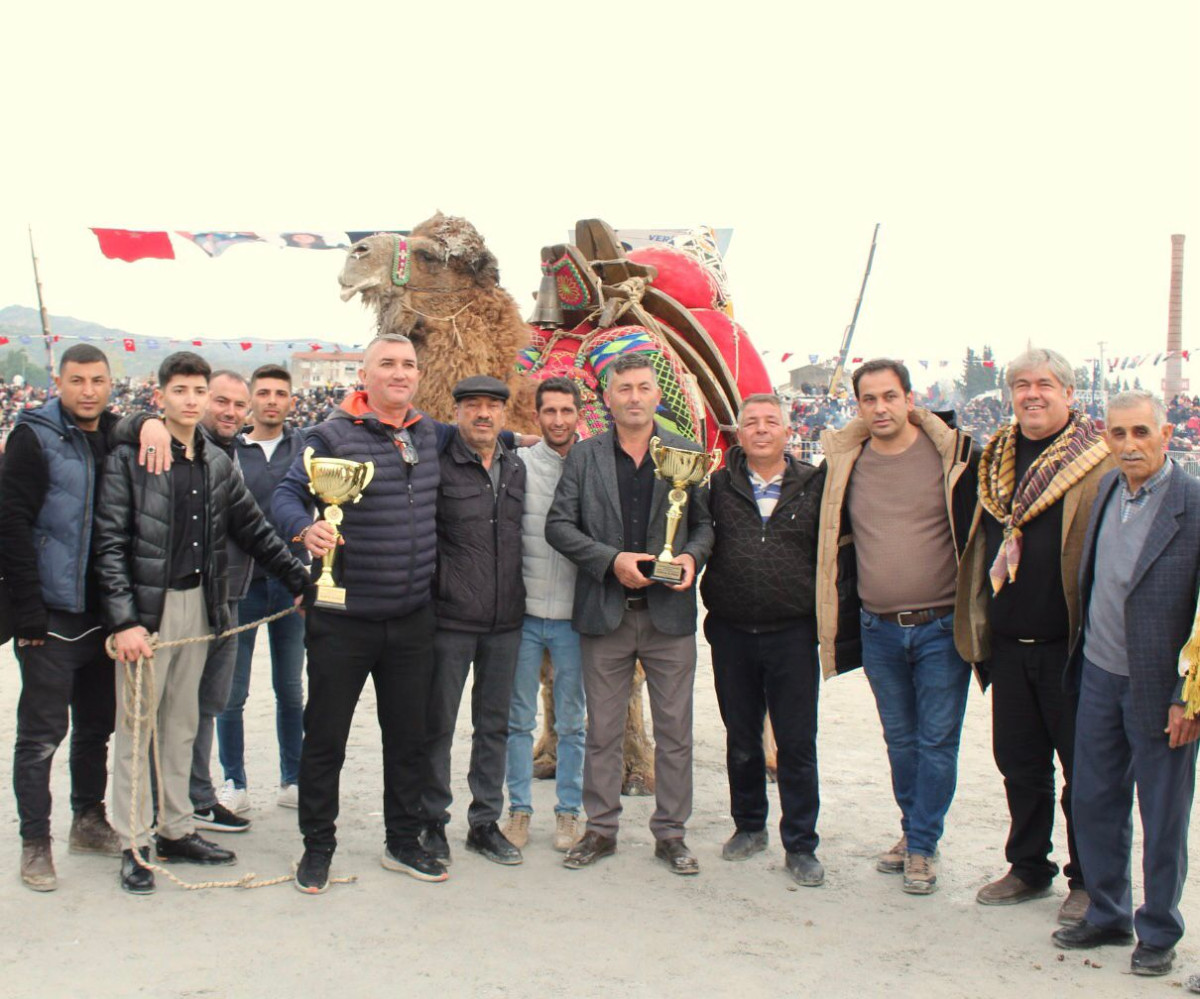 Aydın'da Büyük Coşku: Dünya Kupası Deve Güreşi