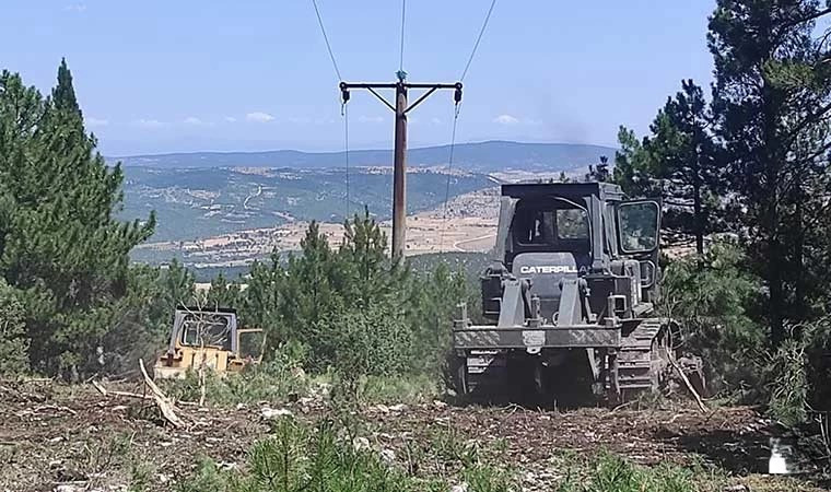 Burdur'da Ağaç Kesimi Sırasında Yüksek Gerilim Hattı Koptu