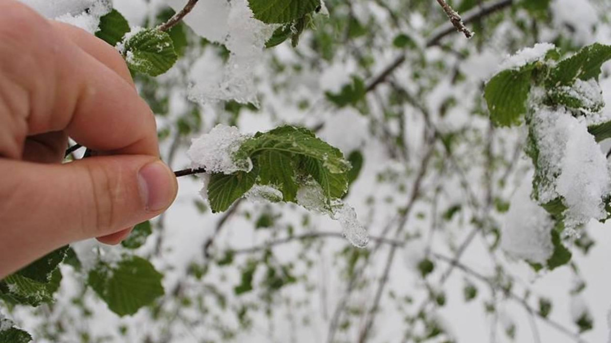 BURDUR’DA DON TEHLİKESİNE KARŞI UYARI: ÇİFTÇİLER DİKKAT!