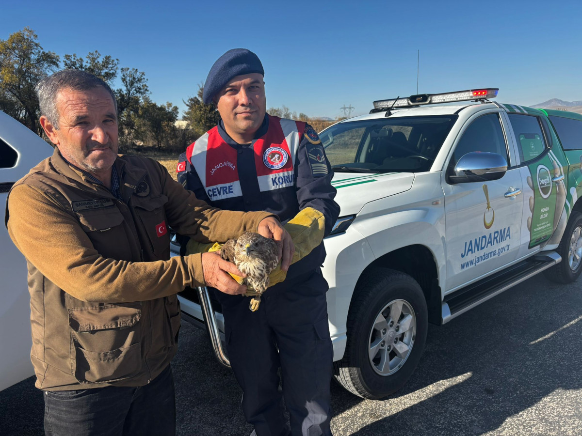 Burdur'da Jandarma Ekipleri Yaralı Boz Şahin’i Kurtardı