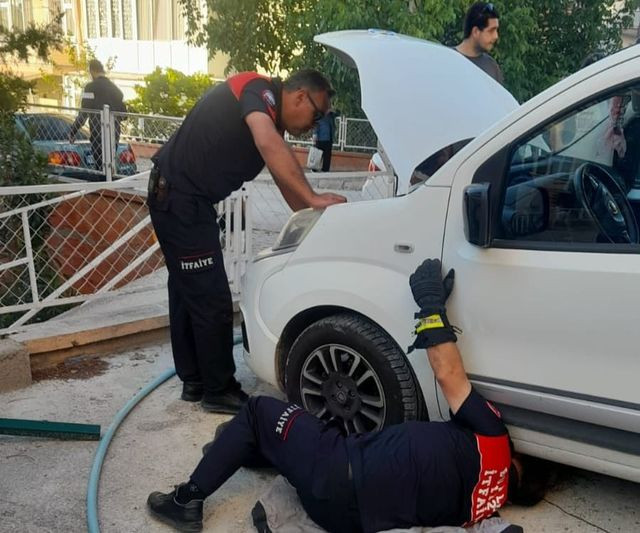 Soğuyan Havalarda Araç Sürücülerine Burdur'dan Uyarı: Motoru Çalıştırmadan Kedi Sesi Dinleyin!